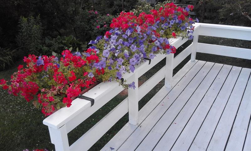 Plakat Danseaften på Løten helsetun