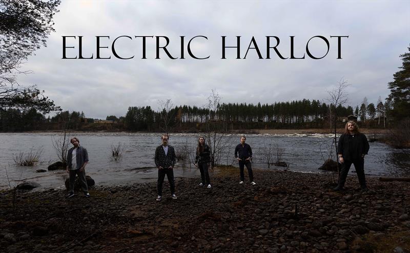 Plakat Electric Harlot + Manøver + Catakomb live @ Seb's Hotel