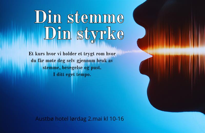 Din stemme-din styrke - Vest-Telemark.no