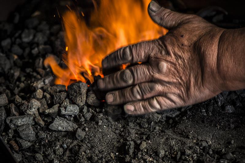 Smedbilete Nordheimsmia