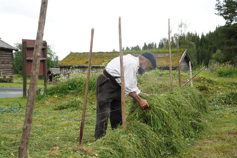Museumsbøndane hesjar, Vest-Telemark museum.