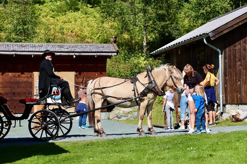 Hest og vogn, familiedag i Eidsborg.