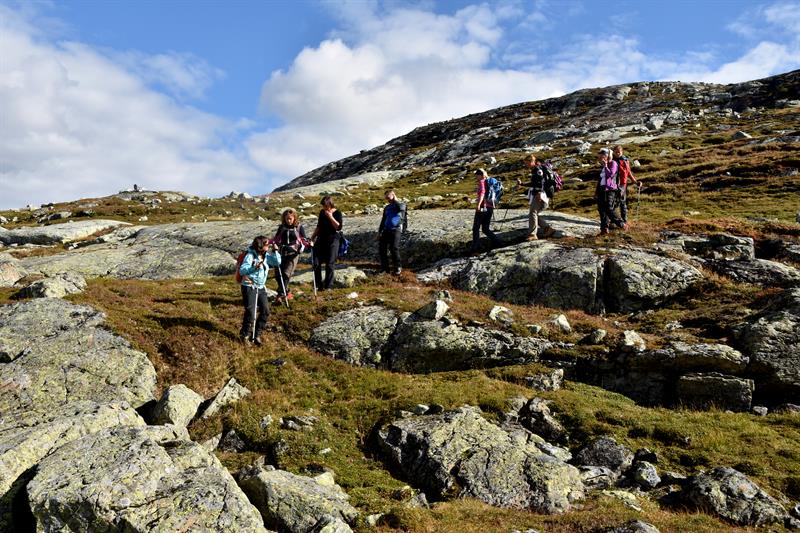 Mellom øst og vest 1000 moh - Vest-Telemark.no