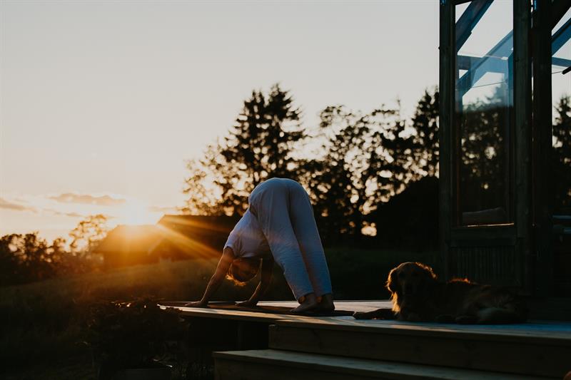 Yoga - klassisk hatha