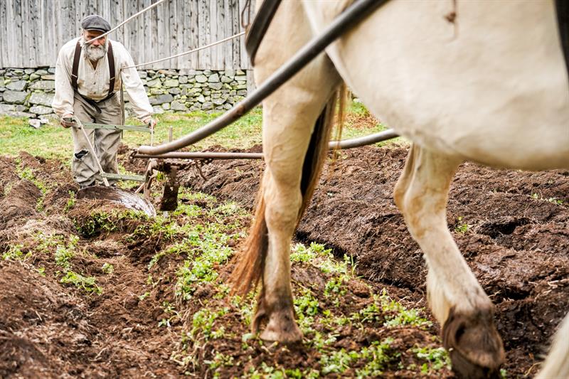 Våronn i Eidsborg, pløying med hest på åkeren.