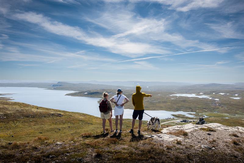 Nasjonalparkdagene til ære for Hallingskarvet og Hardangervidda