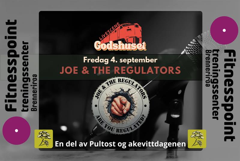 Plakat Joe & The Regulators