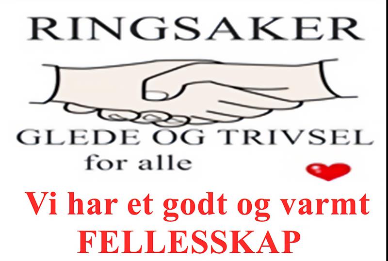 Plakat Ringsaker Glede og Trivsel for alle. Tangen dyrepark