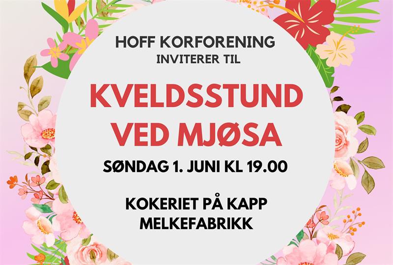 Kveldsstund ved Mjøsa