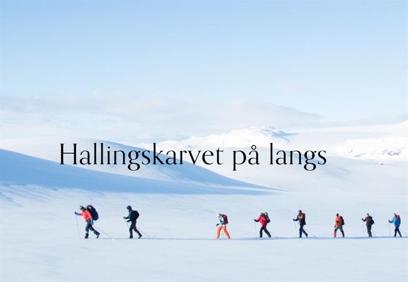 Hallingskarvet på langs fra Finse © Finse 1222 Hotell