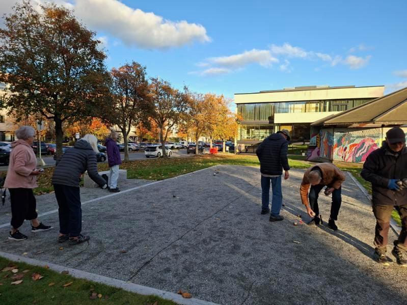 Plakat Petanque i Rådhusparken