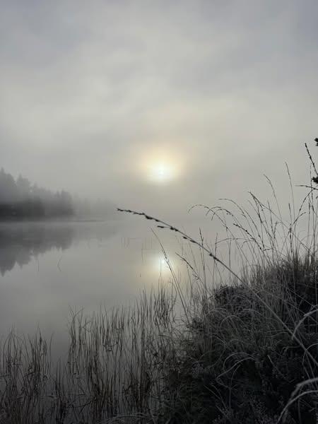 Stemning i naturen