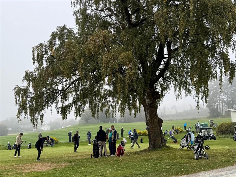 Plakat Veien til Golf