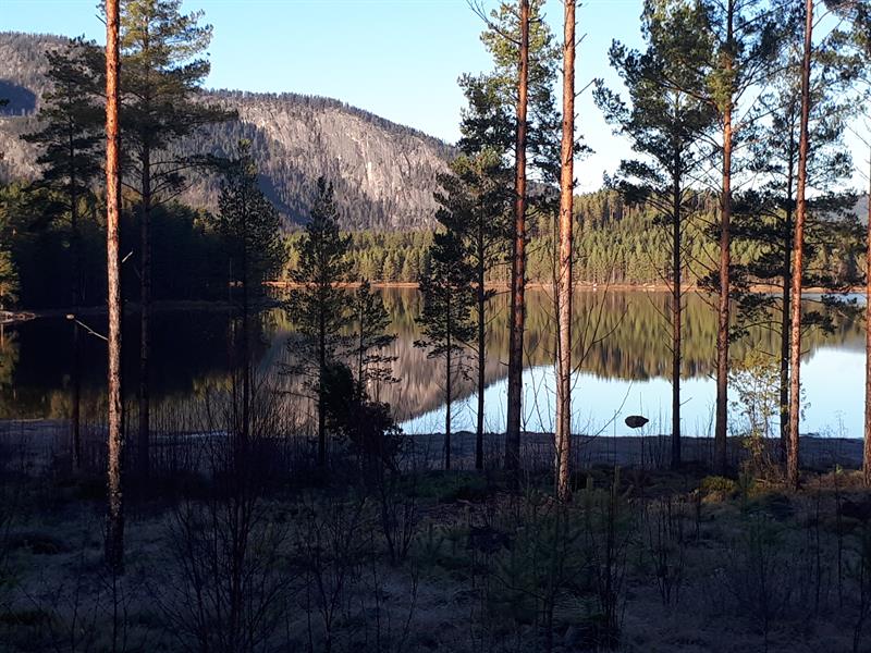 På tur i Hamaren.