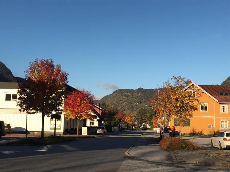 Haustmarknad på Dalen - Vest-Telemark.no
