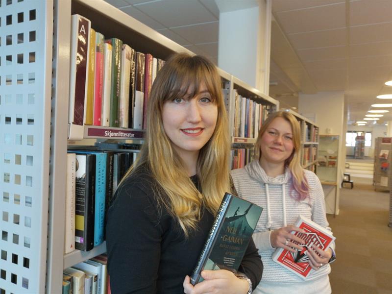 Plakat Boktips i januar