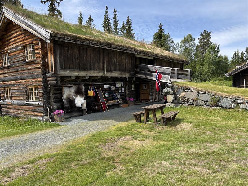 Telemarkstunet