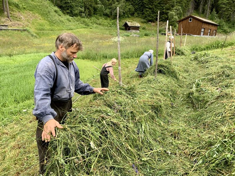 Slåttedagar og hesjing på museet i Eidsborg.