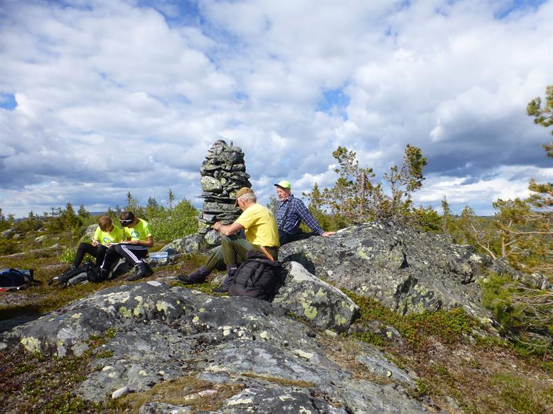 Søtdalsvarden