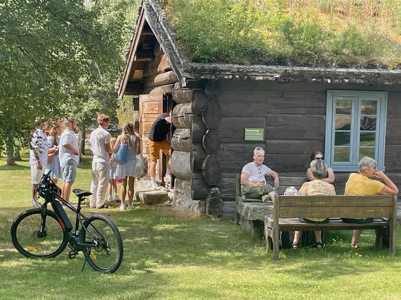 Folksom i Øyskogen, Fyresdal.
