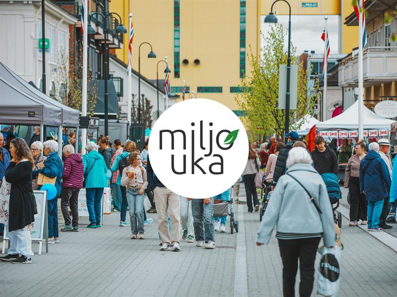 Plakat Miljødag i Stange