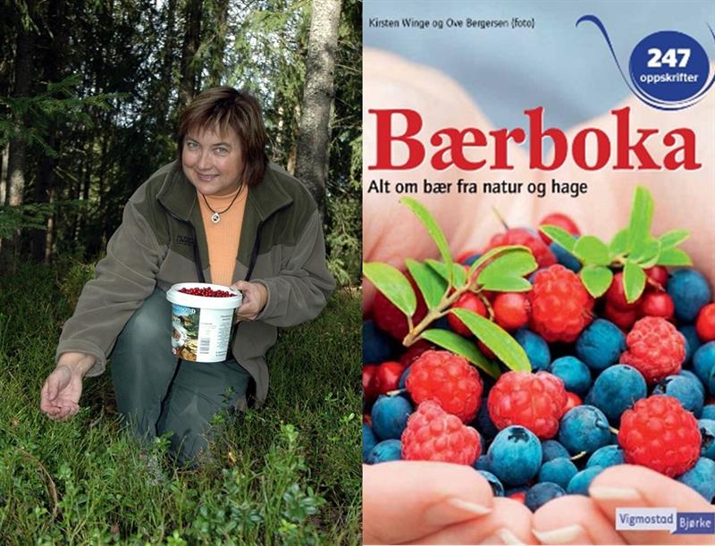 Plakat Foredrag: Kirsten Winge 