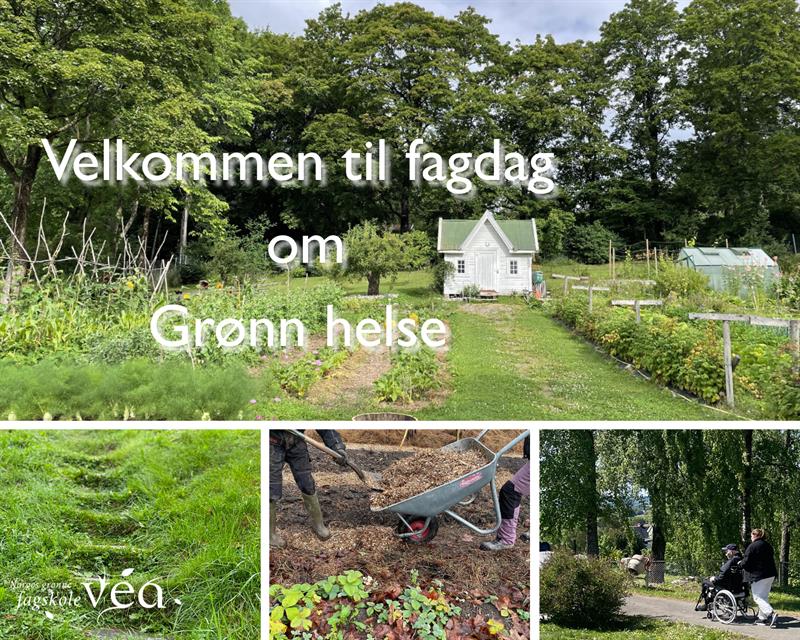 Plakat Fagdag Grønn helse