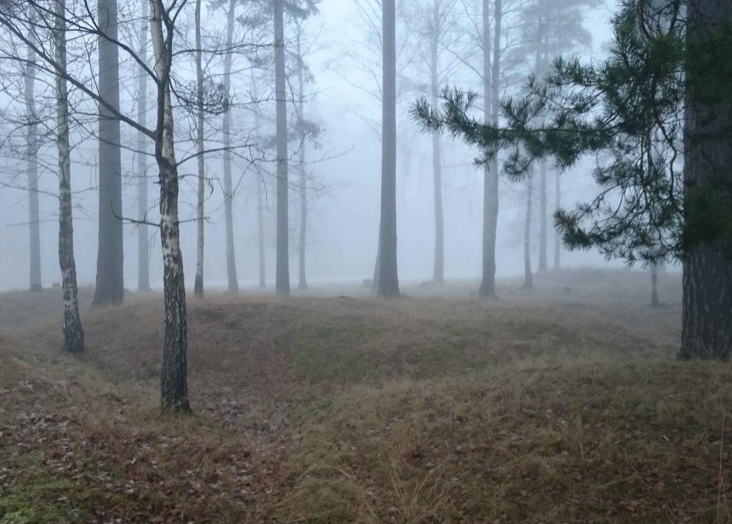 Skummel vandring i gravfeltet - Veien kulturminnepark