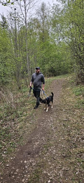 Tur med hund - Brynsåsen nord