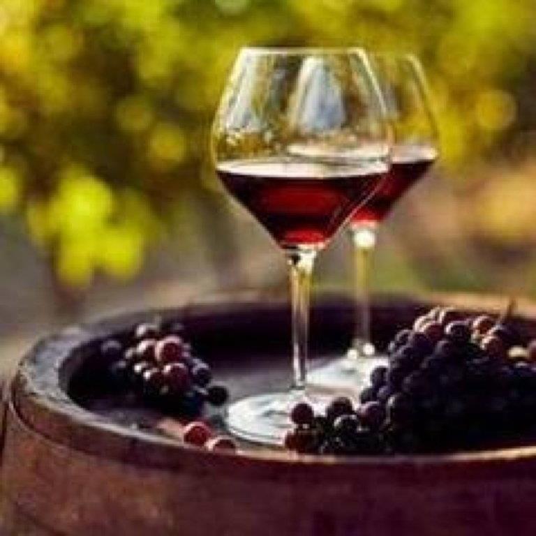 Plakat Introduksjon til vinsmaking Enkeltbillett