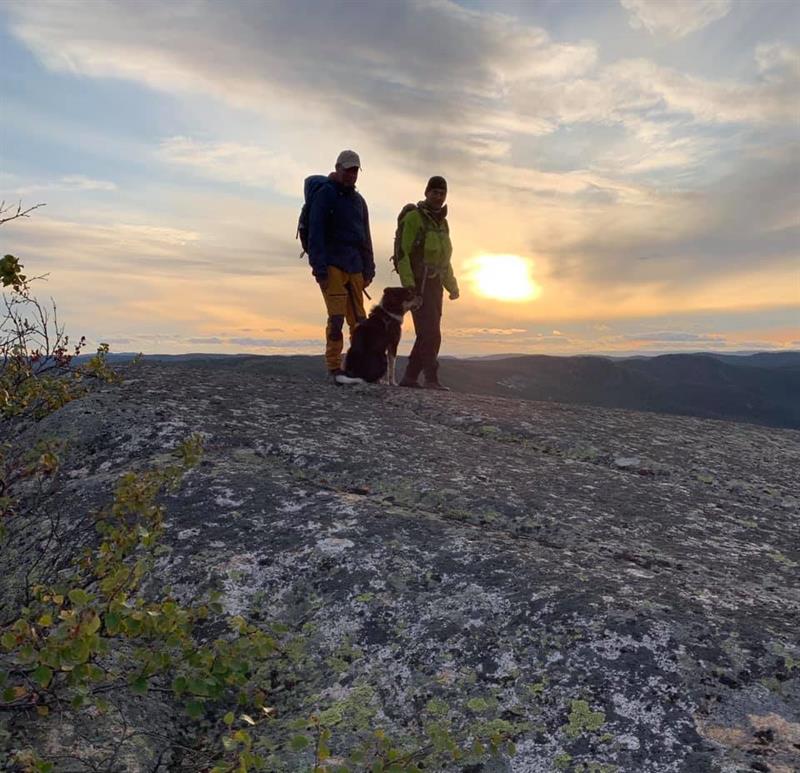 Frå Jåmsfjell
