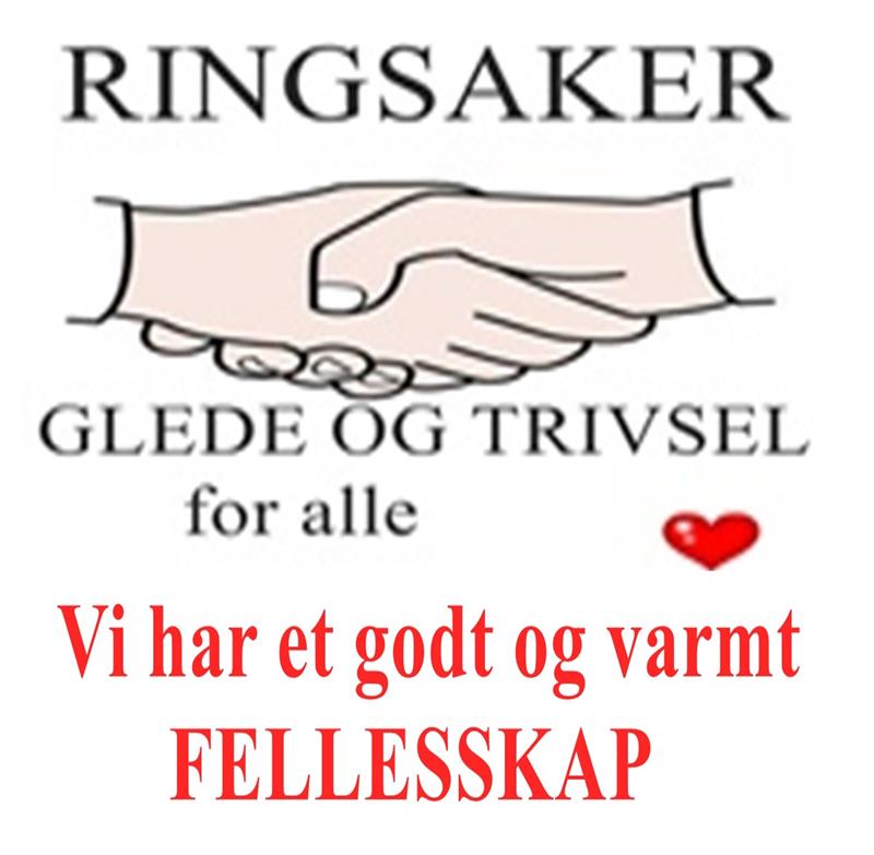 Plakat Ringsaker glede og trivsel for alle. BOLLEFEST