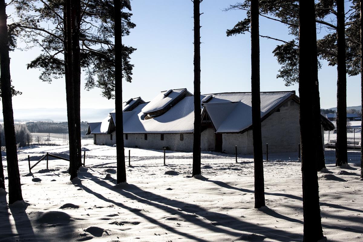 Aktivitetsdag i vinterferien - Veien kulturminnepark