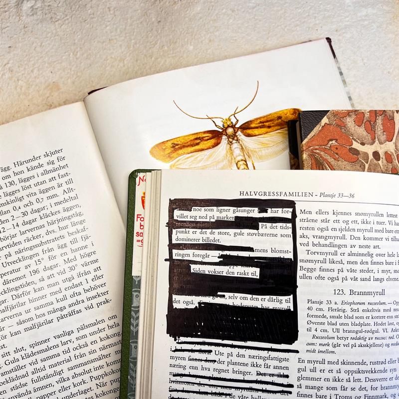 Plakat Papirverksted - Rolf Jacobsen spesial!