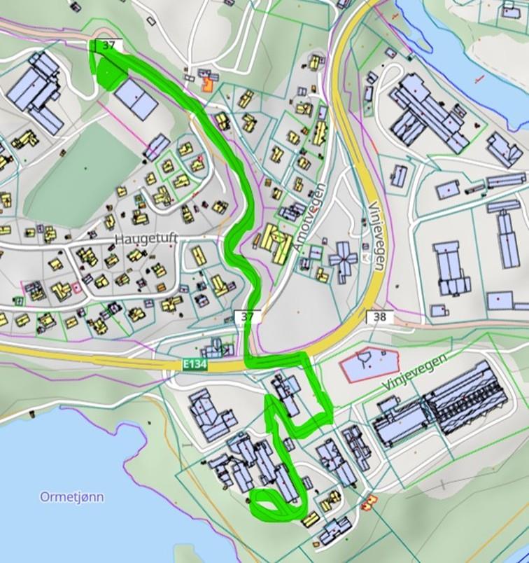 17.mai i Åmot - Vest-Telemark.no
