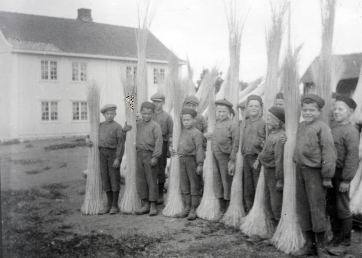 Plakat Guidet tur fra Toftes Gave