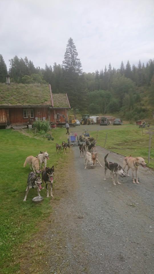 Løksli i Morgedal