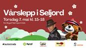 Vårslepp i Seljord