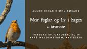 Meir fuglar og liv i hagen + årsmøte