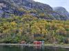Raude naust ved fjordkanten under gule haustlauv og grå fjellvegg ved Hardangerfjorden.