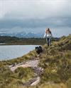 @ Visit Hardangerfjord