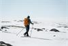 En mann på truger på Hardangervidda i solskinn.