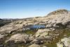@ Visit Hardangerfjord