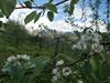@ Be Nature