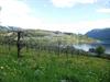 @ Be Nature