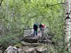 Die Wandergruppe überquert eine Brücke auf dem Wanderweg.