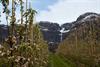 @ Visit Hardangerfjord