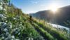 @ Visit Hardangerfjord / Vegard Breie