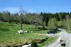 @ Hege Hisdal