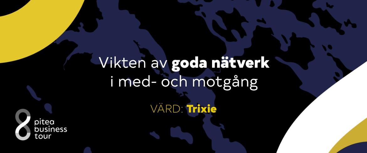 Vikten av goda nätverk